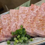 Yakiniku Harukun - 黒毛和牛特上カルビ