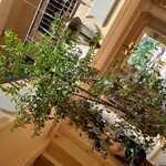 イタリアンレストラン Zucca - 