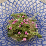 焼肉 思食 - 冷麺