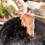 斬 - 都内で前田美豚を食べれるのは当店だけ!!癖のない、後味が最高のオシャレ豚を是非!!