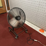 一条流がんこ総本家分家四谷荒木町 - 並び場所の扇風機