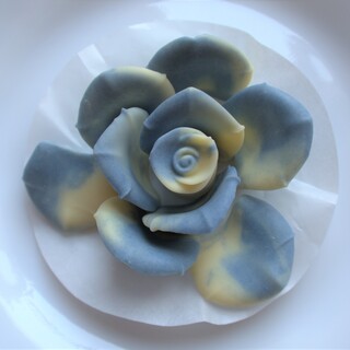 メサージュドローズ_1