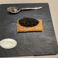 スガラボヴィー - 