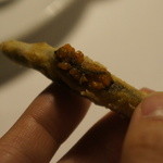 Restaurant Satoshi.F - 子持ちの味女どじょうアップ