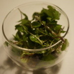 Restaurant Satoshi.F - 井深さんと梶谷さんの有機野菜のサラダ