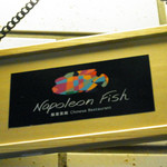 ナポレオン フィッシュ - 