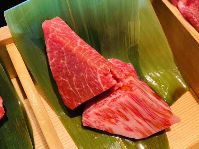 焼肉 べこ亭 たまプラーザ本店 ベコテイ たまプラーザ 焼肉 ネット予約可 食べログ 焼肉 べこ亭 たまプラーザ本店 ベコテイ たまプラーザ 焼肉 ネット予約可 食べログ