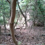 Cafe Suimei - 菰野富士登山道