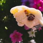 フルーツ モンキー - 