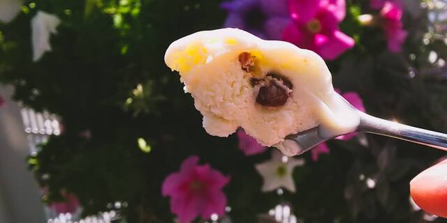 Fruit Monkey photo 5