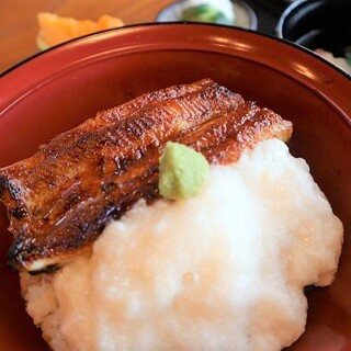 浜名湖うなぎ だいだら_0