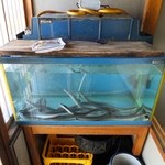 Unashin - 生きた鰻が水槽に