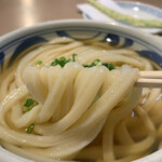 おうどん 瀬戸晴れ - 