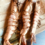 個室居酒屋　座楽 - 海老の塩焼です。冷凍でした