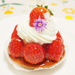 エーケーラボ - タルト・フリュイ