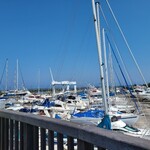 トラットリア Jマリーナ - 