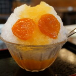 初音 - 杏かき氷