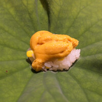 蓮 三四七 - 