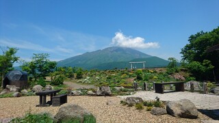 pereniarurokkuga-denkafemirukunosato - テーブル席から見える岩手山