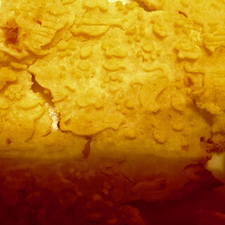 猫専門 またたび堂_0