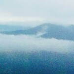 白樺 - 雲上の部屋