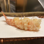 Tempura Mikawa - 