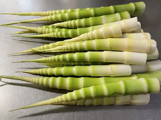 産直 羽黒あねちゃの店 - 鶴岡（その他）の写真