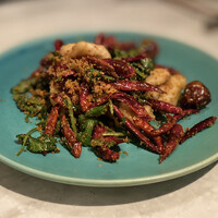 CINA New Modern Chinese - 