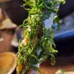 鶏鬨　新川店 - 