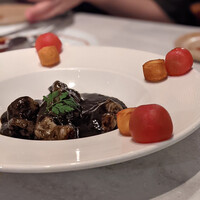 CINA New Modern Chinese - 