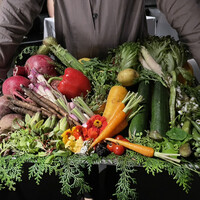 レフェルヴェソンス - 