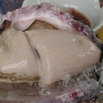 かき処 海 - 岩牡蠣