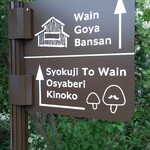 おしゃべりきのこ - 