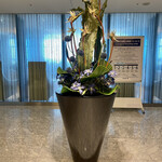 ANA スイートラウンジ - 