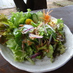 サルワーレ - サラダ　新鮮です！