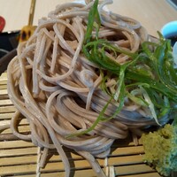 僧伽小野 京都浄教寺 - 