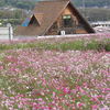 コスモスの里特産品ふれあいセンター