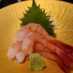 せかい鮨 - 南蛮エビのお造り　1000円