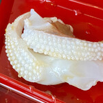 みのり家 - 足先の吸盤はタコとはまた違って
      まるでヤスリみたいな形
      