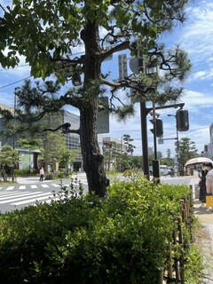 Kamakura Yamashita Hanten - 店前…夏のような陽気。
                        天気も良いせいか人出も多かった…
                        (店前から由比ヶ浜海岸方向の写真)