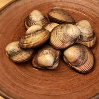 緒方 - 舞鶴産鳥貝