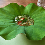 Fujiya 1935 - ジュンサイ　トマトウォーター