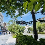 Kamakura Yamashita Hanten - 店前から鶴岡八幡宮方向の写真