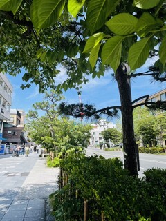 Kamakura Yamashita Hanten - 店前から鶴岡八幡宮方向の写真