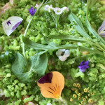 Fujiya 1935 - 毛ガニ　季節の花々