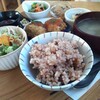 食堂Cafe Yakuzen - 