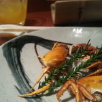 魚喰酒場 鯨の胃袋 - 奇跡的な旨さΣヽ(｀д´；)ﾉ うおおおお！沢蟹さんありがとうm(_ _)m