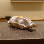 鮨 なんば - 小肌