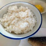 いこい食堂 - ごはん　普通盛　値段分からず