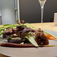 マンサルヴァ - 